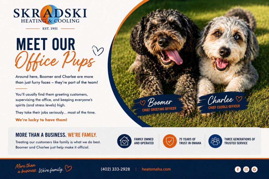 Two fluffy dogs, Boomer and Charlee, sit outdoors on green grass. Both wear blue collars and bandanas, featured as office pups for Skradski Heating & Cooling.